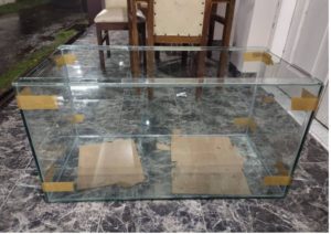 Jasa servis aquarium ikan hias